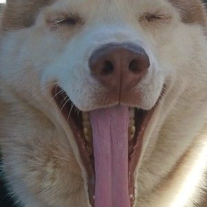 Meet your Posher, Chad